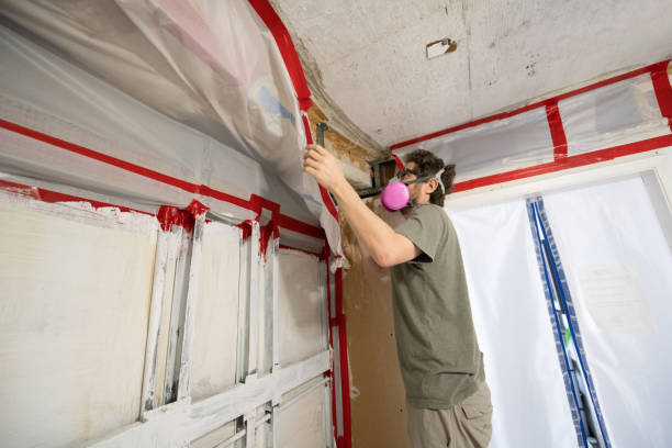Best Attic Mold Removal  in Bear Creek, FL