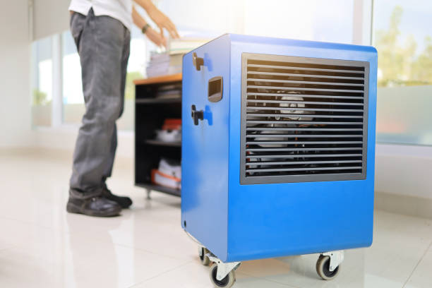 Best Environmental Consulting for Mold Prevention  in Bear Creek, FL